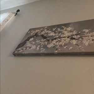 Meet your Posher, Carly